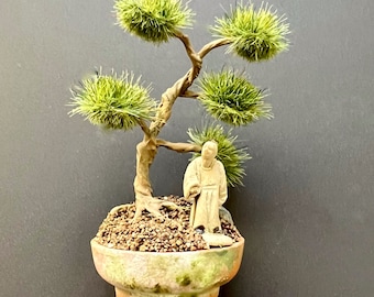 1:12 Scale Dollhouse Miniature Bonsai Tree by IGMA Fellow Bev Gallerani
