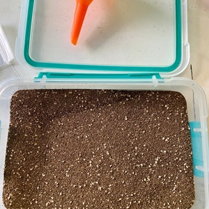 May include: A clear plastic container with a teal lid filled with brown and white soil. The container is open and the soil is visible.