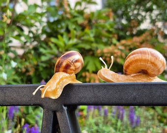May include: Two garden snails with light brown, translucent bodies and spiraled, tan and dark brown striped shells are positioned on a black metal railing. The snails have extended tentacles and are moving along the horizontal bar of the fence.