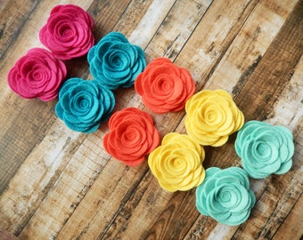 Wool Felt Flowers - Large Posies "Spring Break Collection" - Set of 10