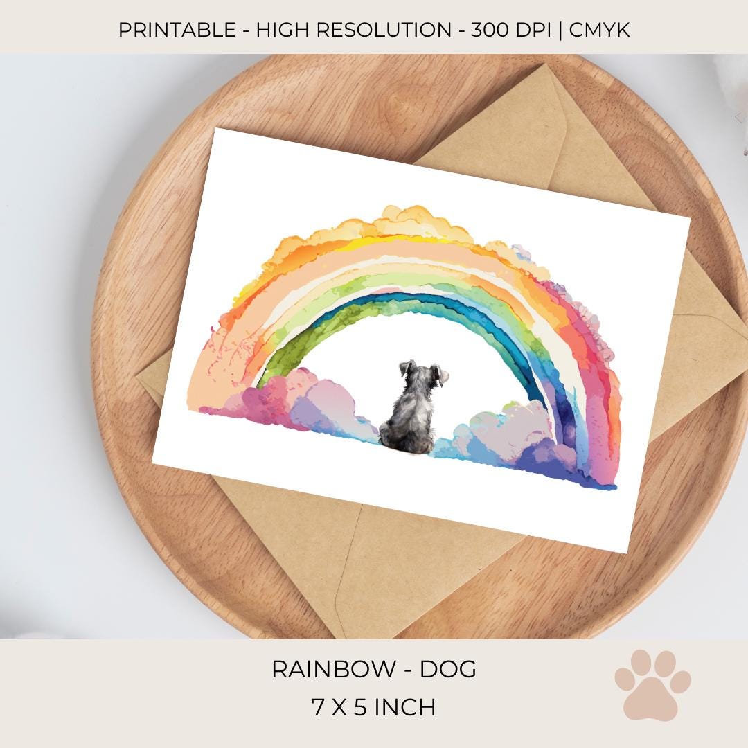 Sympathy Card Dog | Loss of Pet | Rainbow Condolence Card | Celebration ...