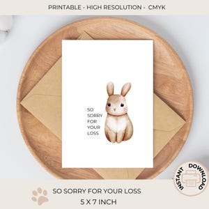 Désolé pour la carte de sympathie de perte | carte de sympathie lapin | Carte de perte d'animal de compagnie | Carte de condoléances lapin | perte du lapin | télécharger | C423
