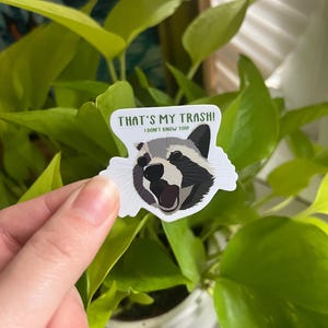 Bobby Hill Raccoon Sticker