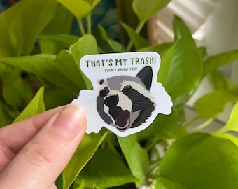 Bobby Hill Raccoon Sticker