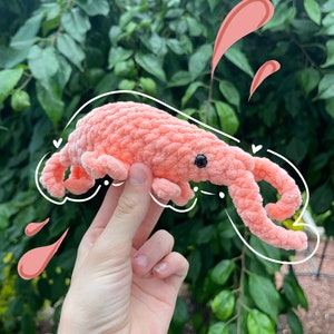 Handmade crochet shrimp plushie | Cute soft shrimp stuffed animal