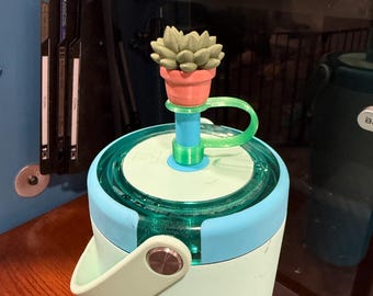 Blumentopf Stroh Topper
