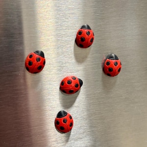 May include: Five red ladybug magnets with black spots and black heads are arranged on a silver metallic surface. The ladybugs are small and three-dimensional, adding a touch of nature to any magnetic surface.
