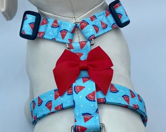 Dog Harness - Watermelon Wedge