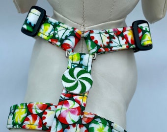 Dog Harness - Merry Mint