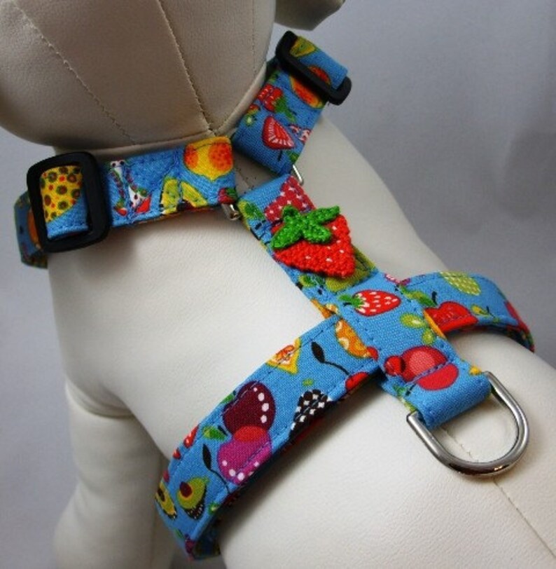 Dog Harness Fruit Salad Etsy