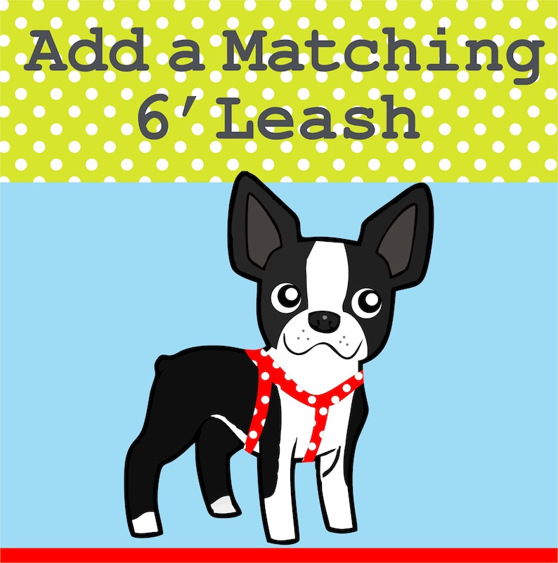 Matching 6' Leash image 1