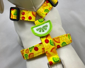 Dog Harness - Juicy Fruit