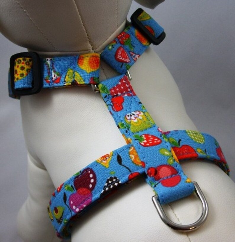 Dog Harness Fruit Salad Etsy