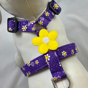 Dog Harness - Purple Posies