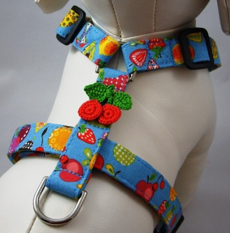 Dog Harness Fruit Salad Etsy