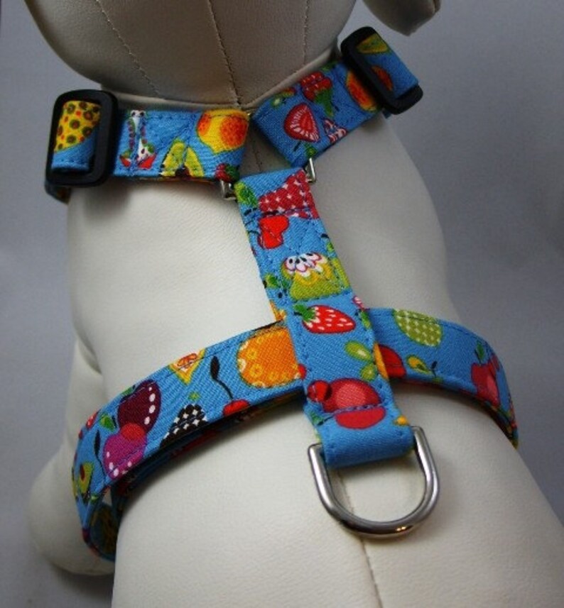 Dog Harness Fruit Salad Etsy