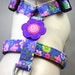 see more listings in the Dog Harnesses section