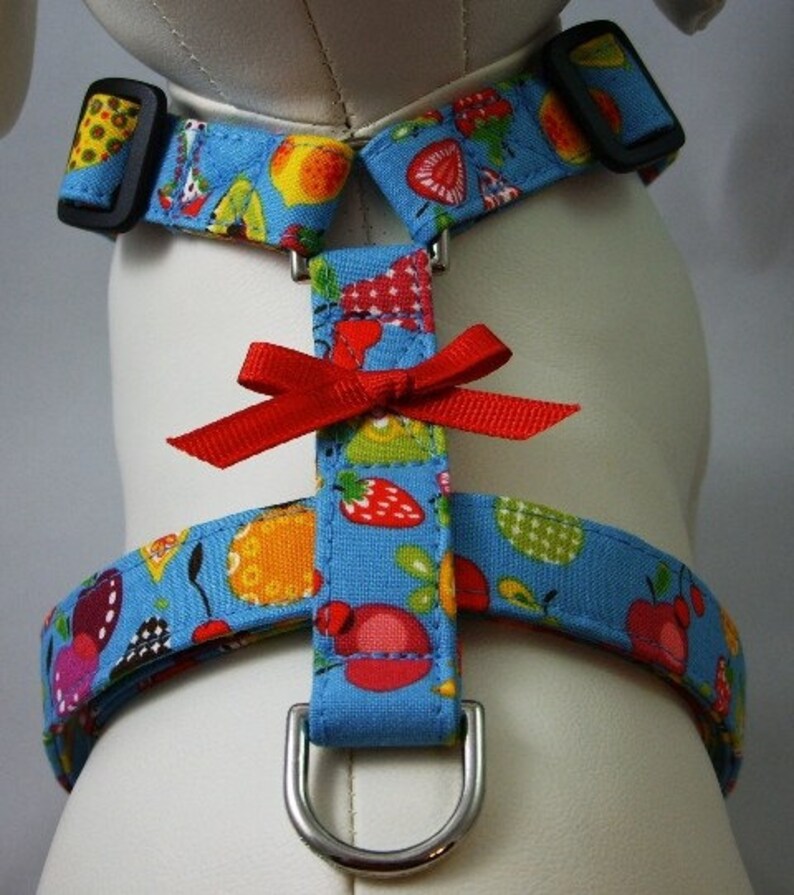 Dog Harness Fruit Salad Etsy