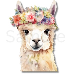 Florales Lama, SVG, PNG, Geburtstag, Party, Kinder, Sommer, Gänseblümchen, Bunt, High Definition, Sofort Download