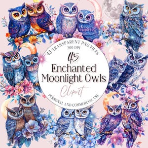 45 hiboux sur la lune Clipart PNG - détails colorés - aquarelle - graphisme croissant lunaire - oiseaux floraux - hibou Boho - usage Commercial
