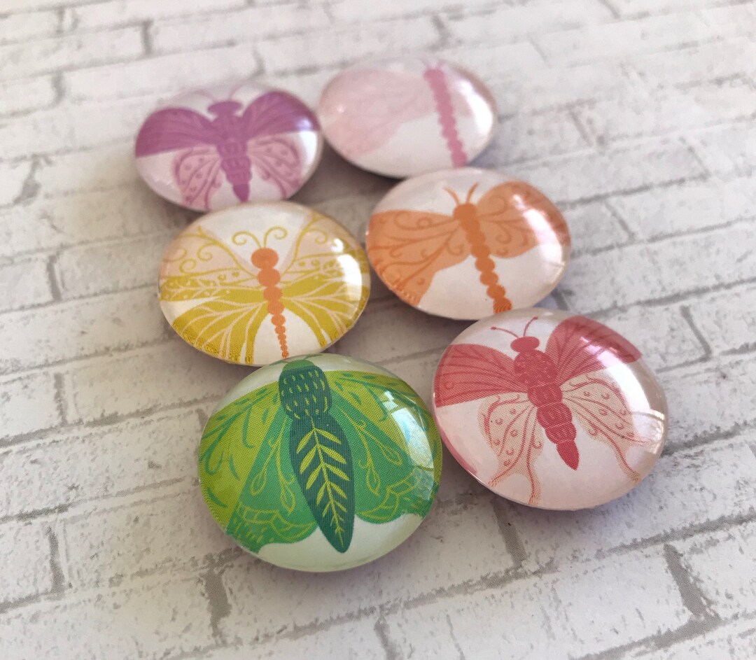 Butterfly Set of 6, 1 Inch 25mm Round Glass for Home