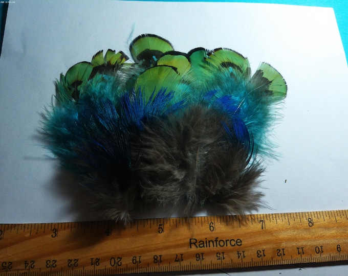 Peacock Feather Assortment~2.5"-4"~15 PC's~Doll Hats!
