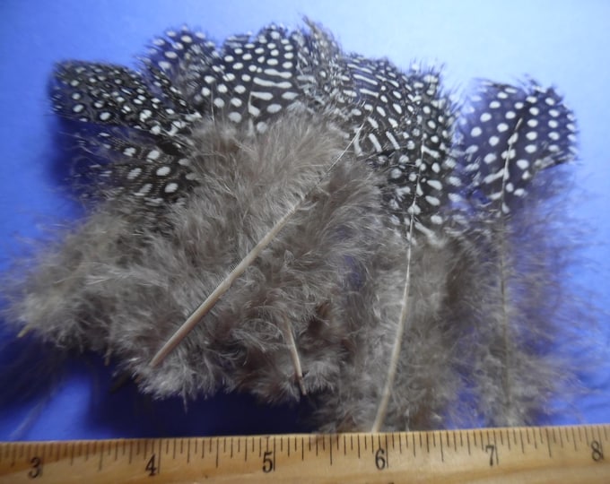 Novelty Feather~Black and White~10 PC's~3"-4"~Doll Hats!
