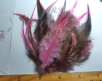 Pheasant Feather Assortment~Pink/Brown Combo~15 PC's~Doll Hats!