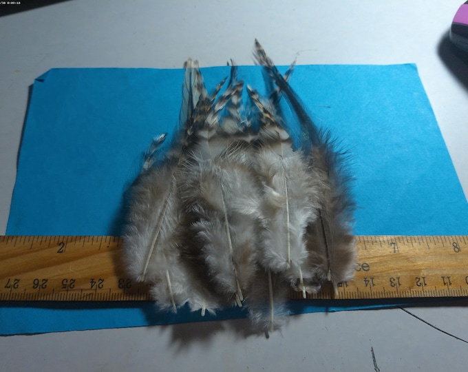 Pheasant Feather Assortment~Black/Brown Combo~15 PC's~Doll Hats!