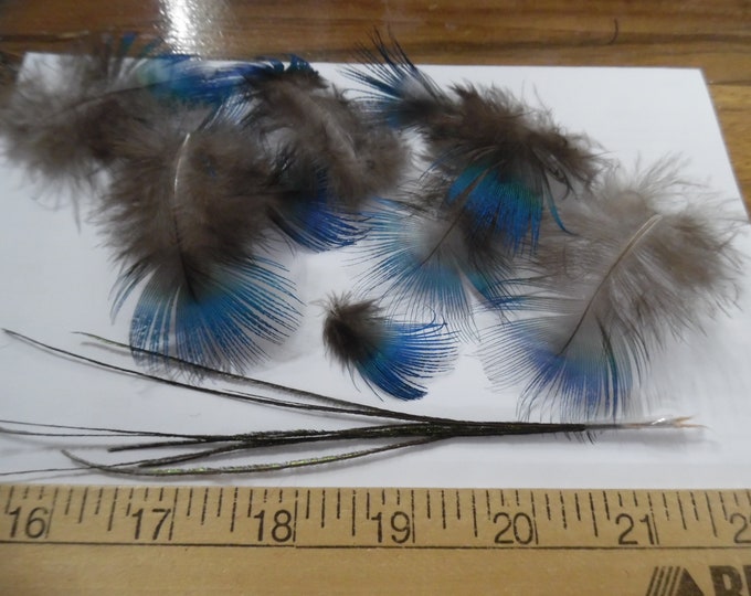 Peacock Feather Assortment For Doll Hats~Package of 10+~Flapper