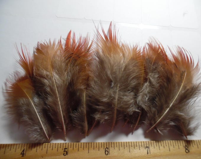 Flame Tipped Feathers~1.5"-3.5"~15 PC's~Doll Hats!