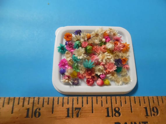 Micro Tiny Straw Flowers~Multi Colors~50-60 Pieces~Great For Miniature Doll Hats