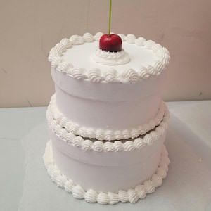 Kuchen Doppel Aufbewahrungsbox, Gefälschte Kuchen Doppel Box