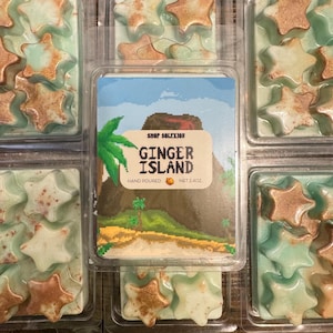 Ginger Island Sojawachs Melts | Stardew Valley inspiriert | Handgemachter gemütlicher Gamer Geschenk, von Videospielen inspirierter Duft, flammenlose Kerze