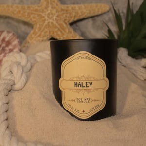 Haley | Stardew Valley inspiriert Sojawachs Kerze | Duftendes Raumduft | Geröstete Kokosnuss, Sheanuss & Frangipani | Gemütliches Gamer Geschenk