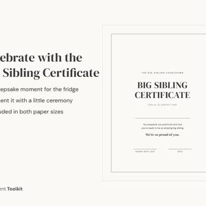Big Sibling Countdown Calendar Printable | New Baby Sibling Prep Kit | Toddler Gift Instant Download image 5