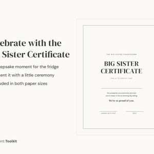 Big Sister Countdown Calendar Printable | New Baby Sibling Prep Kit | Toddler Gift Instant Download image 5