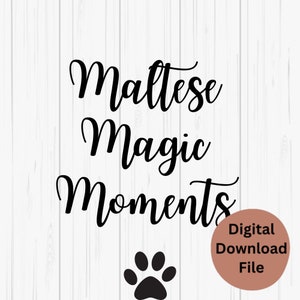 Maltese SVG, Maltese PNG, Fun Maltese Digital Files, Maltese Magic Moments, Maltese Mom SVG, Maltese Dad Digital Files, Maltese Clipart File