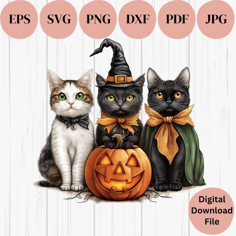 Cute Halloween Cats SVG PNG, Cat Clip Art Digital Download Files ...
