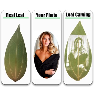 May include: A comparison of a real leaf, a photo of a woman, and a leaf carving with the woman's image carved into it.