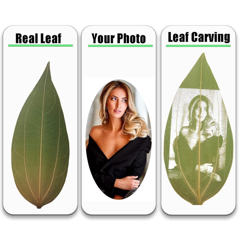 May include: A comparison of a real leaf, a photo of a woman, and a leaf carving with the woman's image carved into it.