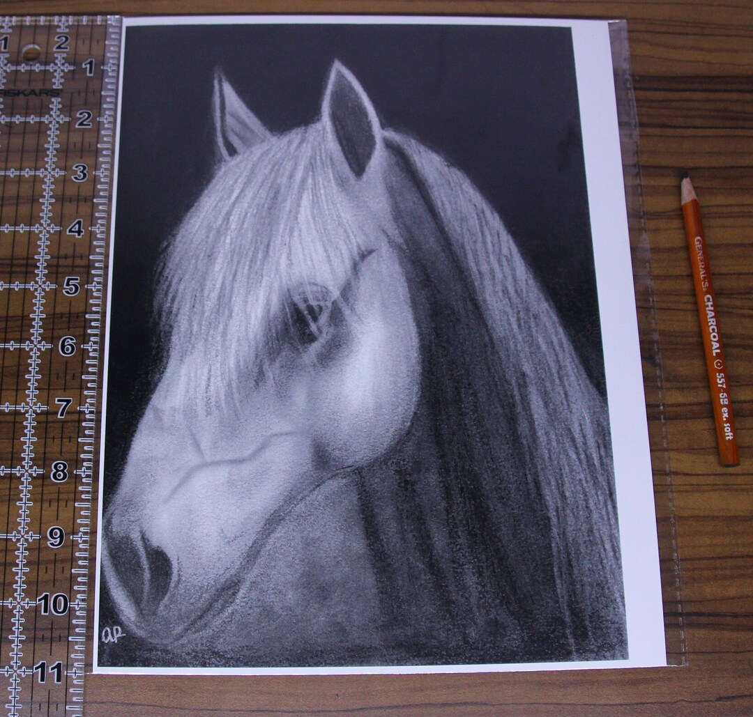 Shadowfax White Horse Lord of the Rings Hand Drawn Print and Original ...