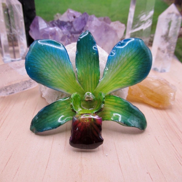Collana con vero fiore di orchidea - verde/blu/giallo. Questo è un vero fiore di orchidea che è stato conservato in resina creando una collana unica
