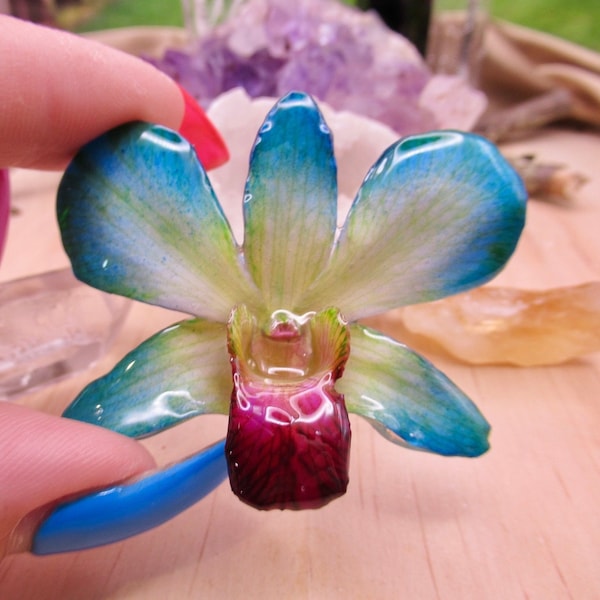 Real Orchid Flower Necklace - Blue/Green/Natural. This is a REAL Orchid flower preserved in resin making it a beautiful keepsake necklace