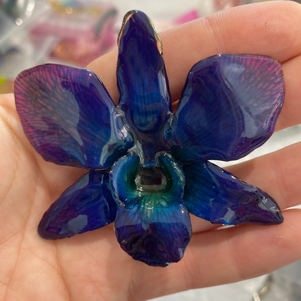 Collier fleur d'orchidée véritable - violet/marine/turquoise. Il s'agit d'une VRAIE fleur d'orchidée qui a été conservée dans de la résine, ce qui en fait un collier unique