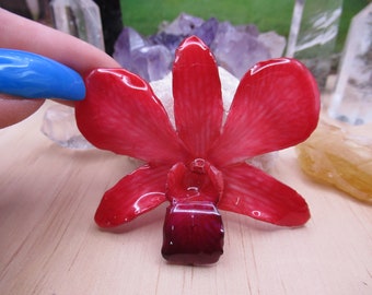 Real Orchid Flower Necklace - Vibrant Redish Pink. This is a REAL Orchid flower which has been preserved in resin making a unique necklace
