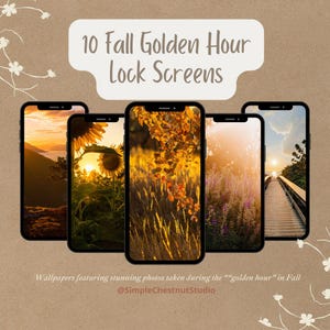 Fall Nature Wallpaper, Beautiful Fall Photos, Fall Themed Smartphone Wallpapers, Fall Aesthetic, Autumn Phone Wallpaper, Fall Scenery Screen