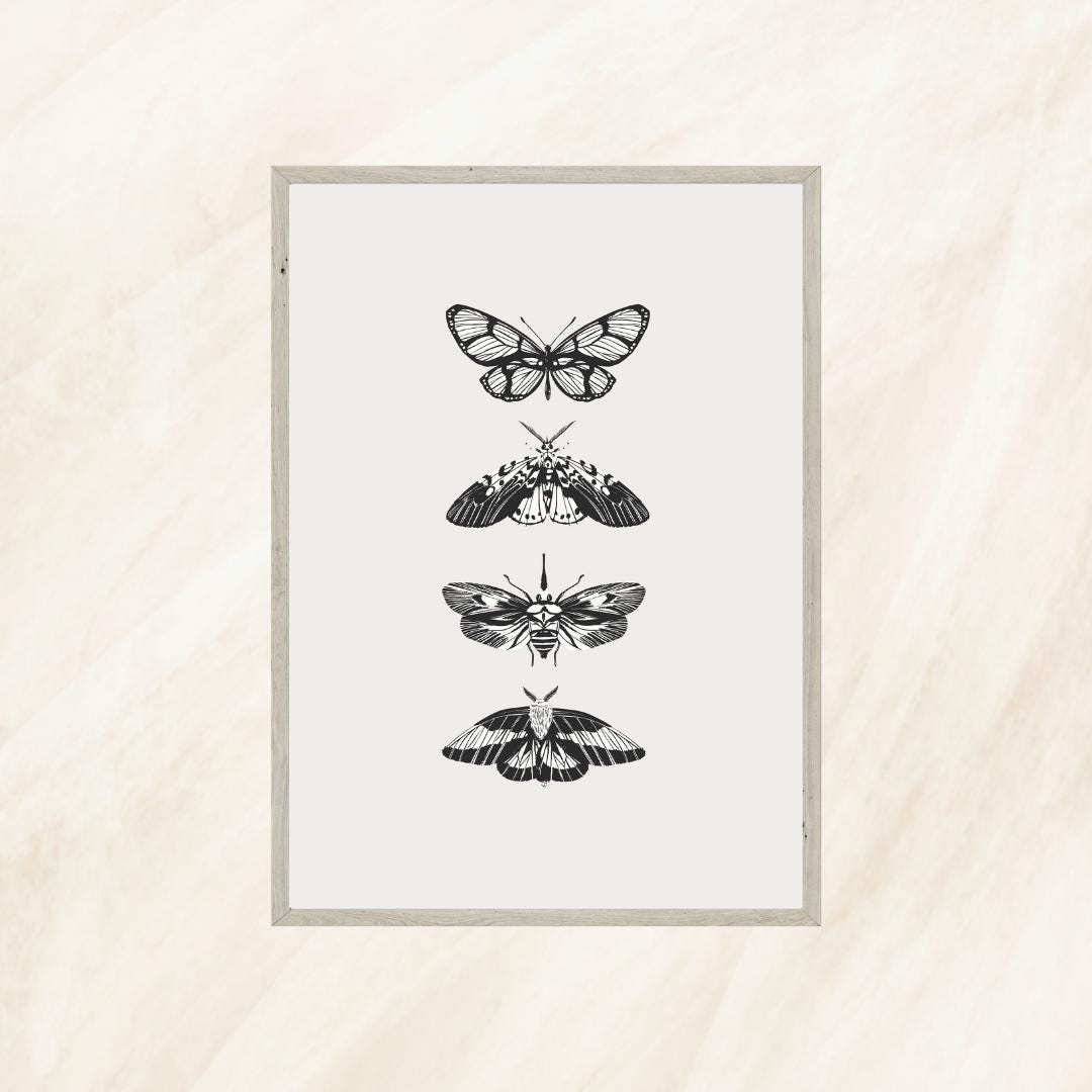 Moth Illustration Print | Vintage Insect Wall Art | Nature-inspired ...