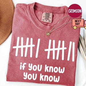 May include: Crimson-colored t-shirt with white text reading "if you know you know" and tally marks. The shirt has a crew neck and short sleeves. A gold necklace with a pendant is draped on the shirt. The shirt is made of a soft material.