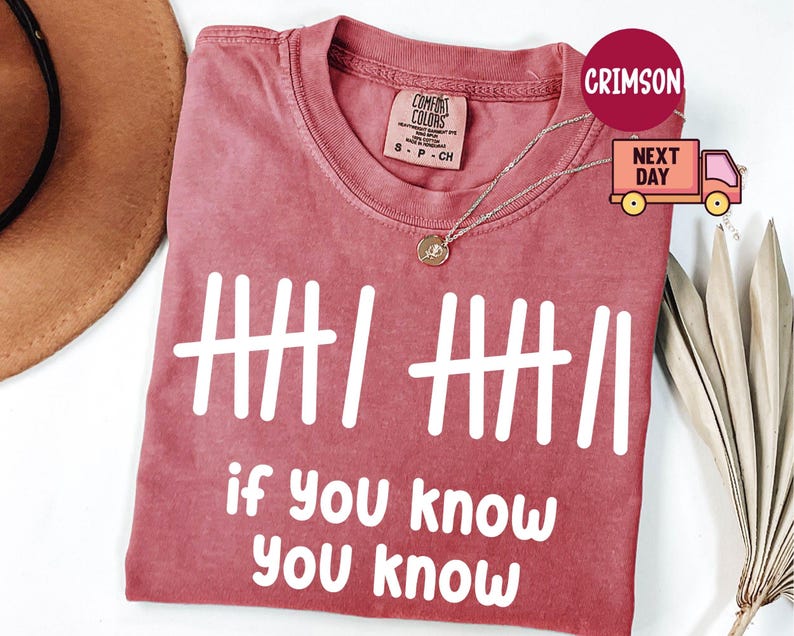 May include: Crimson-colored t-shirt with white text reading "if you know you know" and tally marks. The shirt has a crew neck and short sleeves. A gold necklace with a pendant is draped on the shirt. The shirt is made of a soft material.